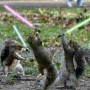 Meet your Posher, Abraham